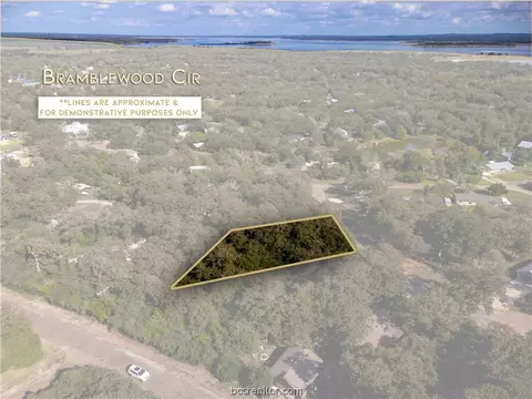 6 Bramble Wood Circle, Somerville, TX 77879