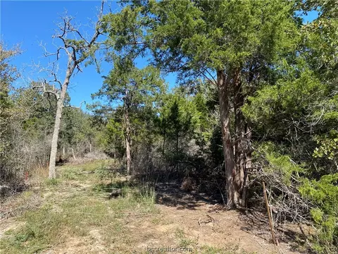 815 Blueberry Hill Rd, Somerville, TX 77879