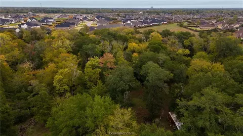 3908 Austins Estates Dr, Bryan, TX 77808 photo 14