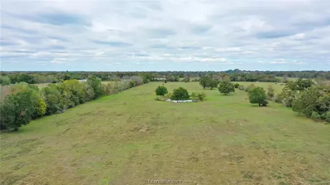 25 Ac Grant Rd, Madisonville, TX 77864