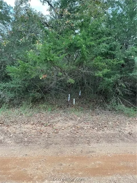 Tbd Country Place, Hilltop Lakes, TX 77871