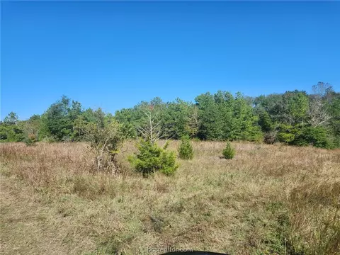 Lot 26 Magnolia Loop, Navasota, TX 77868