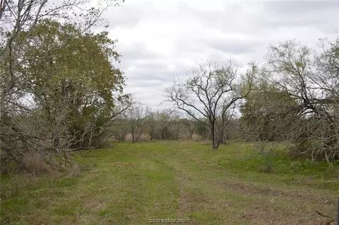 00020 Fawn Oaks Trl, Iola, TX 77861