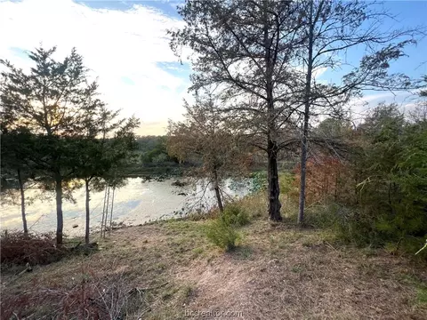 125 Lake View Loop, Somerville, TX 77879