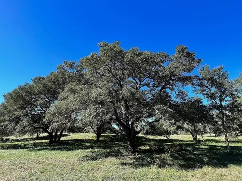Tbd Affleck Road, Brenham, TX 77833