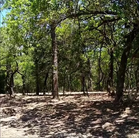 1194 Aspen Dr, Caldwell, TX 77836