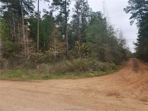 Lot 1 Yupon Lane, Plantersville, TX 77363