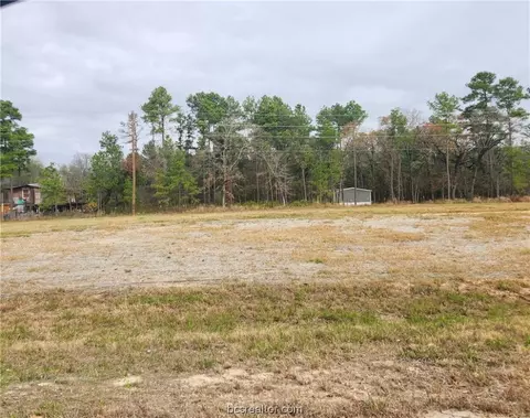 Lot 11 Tawnyberry Lane, Plantersville, TX 77363