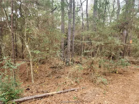 Lot 10 Honeylocust Lane, Plantersville, TX 77363