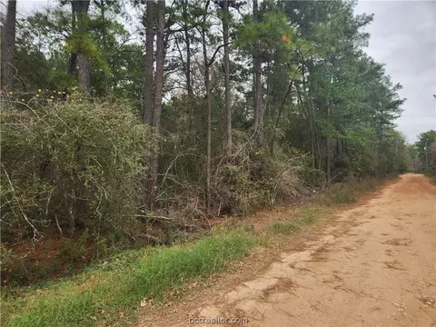 Lot 37 White Oak Drive, Plantersville, TX 77363