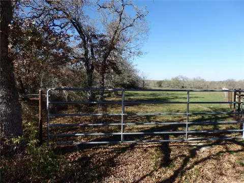 16914 County Road 163, Iola, TX 77681