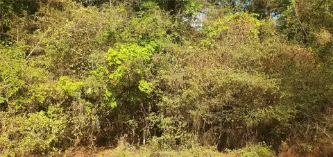 lot33 Drake Ln, Hempstead, TX 77445