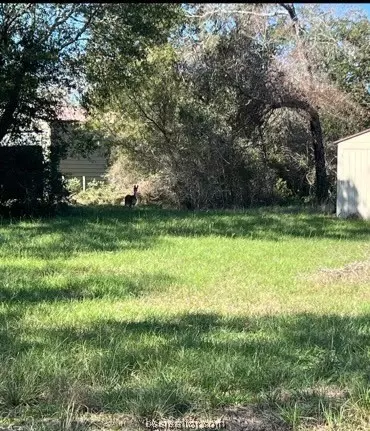 51 Windmill Dr, Hempstead, TX 77445 photo 6