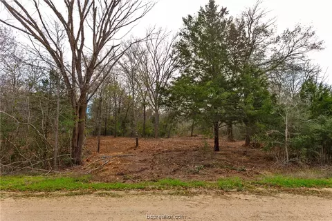 Tbd Beaver Creek Road, Caldwell, TX 77836