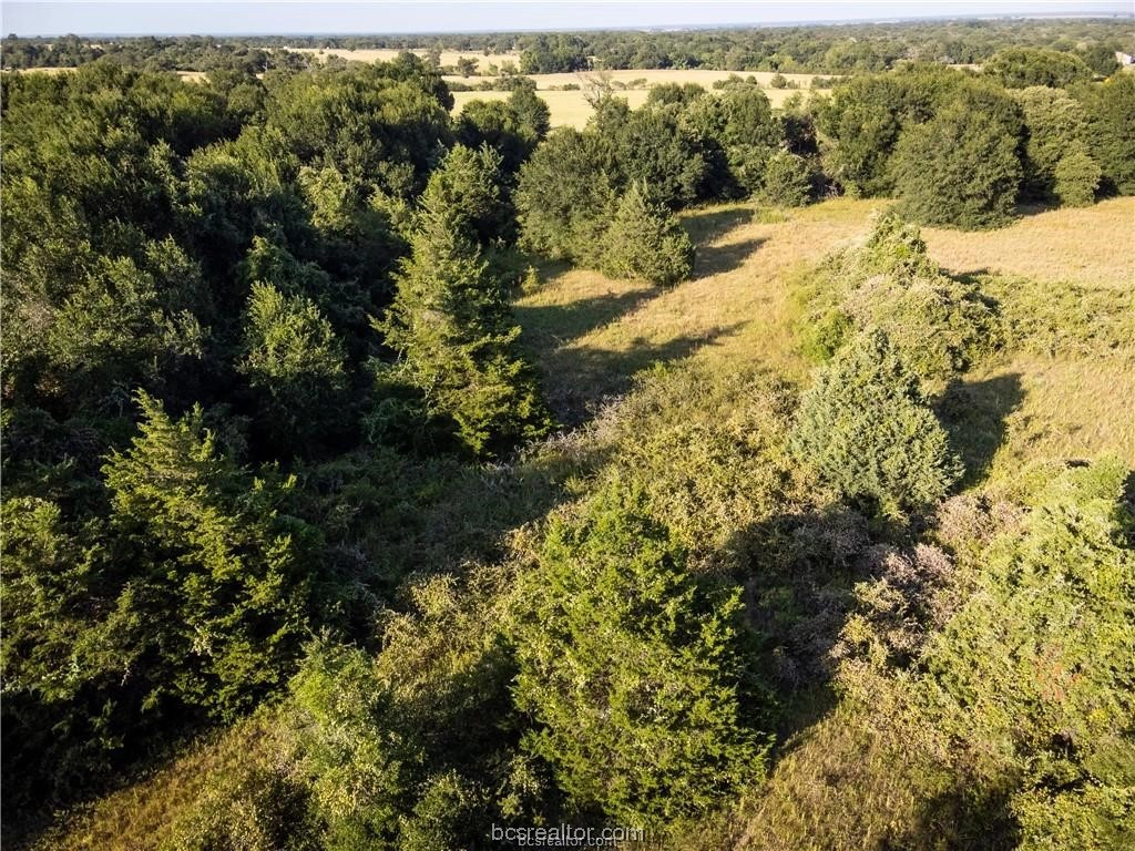 3 Acres Pr 2019  
