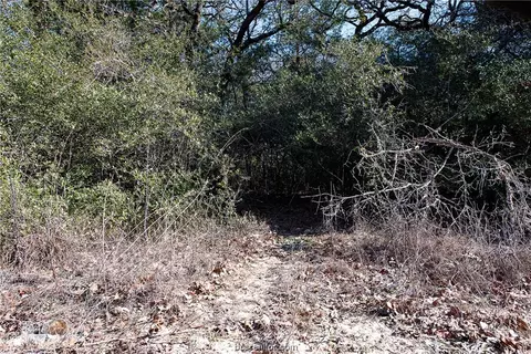 Tbd Holly Drive, Caldwell, TX 77836