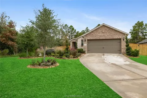 142 Pepper Grass Pl, Montgomery, TX 77316