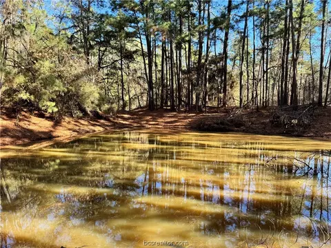 Tbd Fcr 241, Fairfield, TX 75840