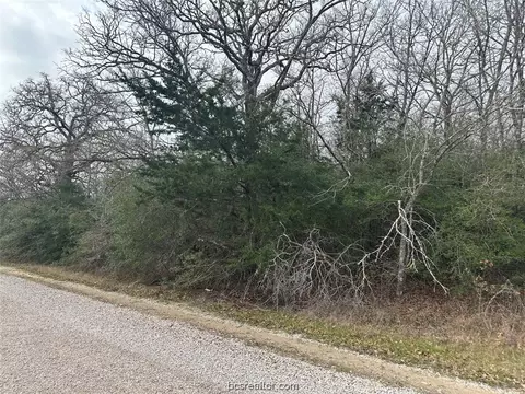 Tbd Hollow Bend Road, Caldwell, TX 77836