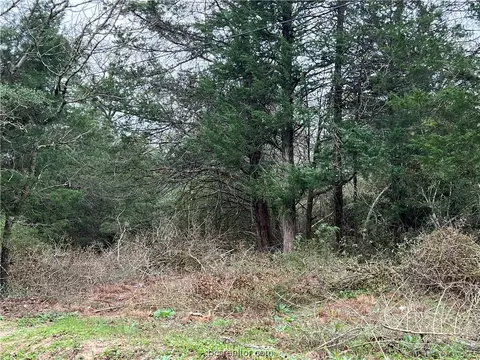 Tbd Dogwood Drive, Caldwell, TX 77836