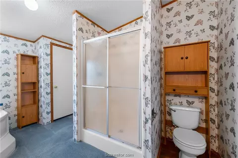 3146 Starlight Dr, Bryan, TX 77808 photo 14