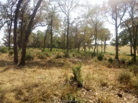 tbd Pr 1311, Centerville, TX 75833 photo 13