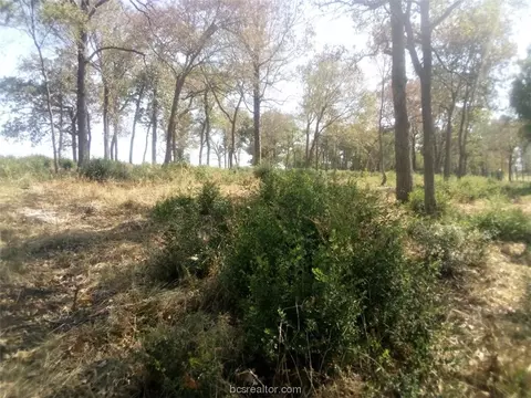 tbd Pr 1311, Centerville, TX 75833 photo 17