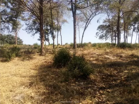 tbd Pr 1311, Centerville, TX 75833 photo 16