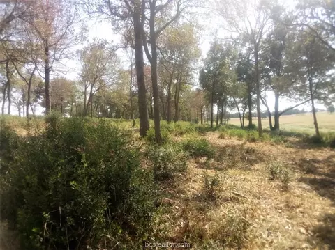 tbd Pr 1311, Centerville, TX 75833 photo 15