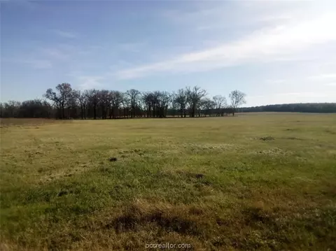 tbd County Road 231, Centerville, TX 75833 photo 6
