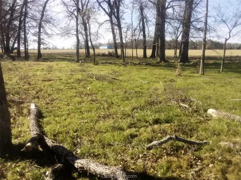 tbd County Road 231, Centerville, TX 75833 photo 14