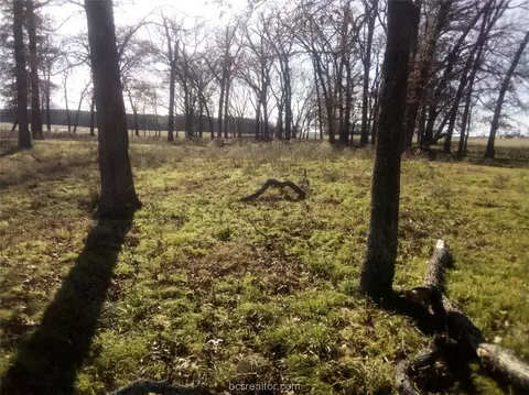tbd County Road 231, Centerville, TX 75833 photo 12
