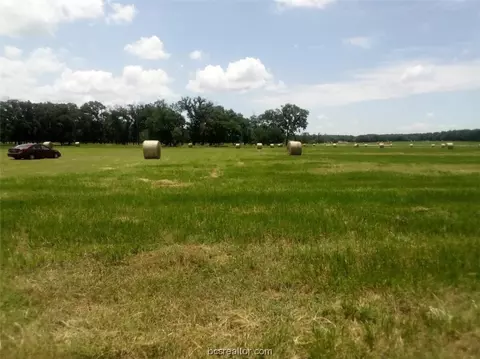 tbd County Road 231, Centerville, TX 75833 photo 7