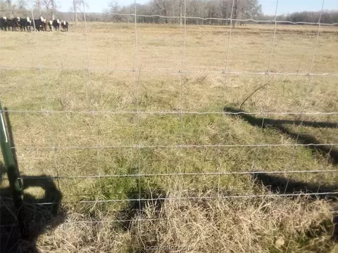 tbd County Road 231, Centerville, TX 75833 photo 10