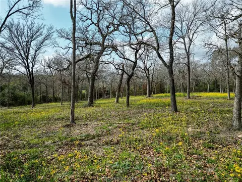 Tbd County Road 4263, Marquez, TX 77865 photo 8