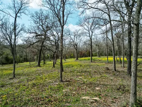 Tbd County Road 4263, Marquez, TX 77865 photo 7