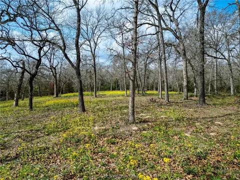 Tbd County Road 4263, Marquez, TX 77865 photo 9