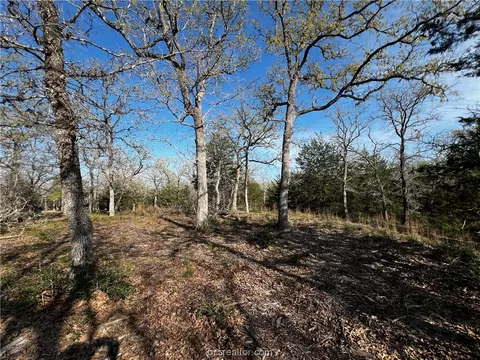 Lot 146 Deer Run Trail, Somerville, TX 77879