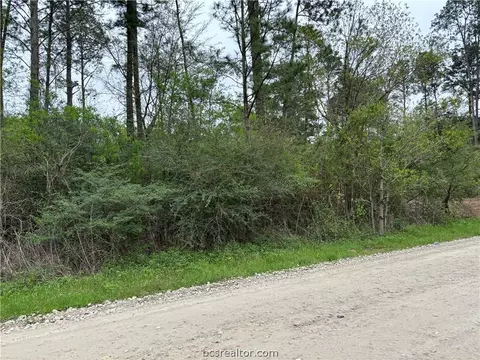 Tbd Live Oak, Plantersville, TX 77363