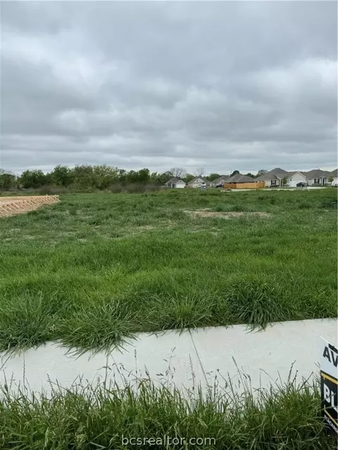 2817 Messenger Way, Bryan, TX 77803 photo 14