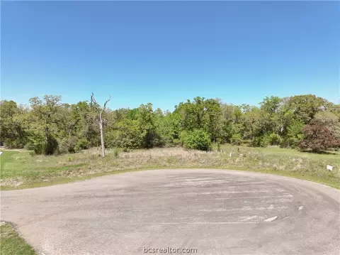 10357 Albert Dr, Iola, TX 77861 photo 5