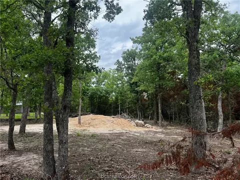 510 Pine Loop, Somerville, TX 77879