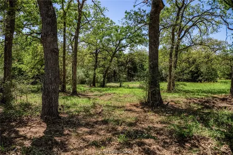 Tbd County Road 436, Dime Box, TX 77853
