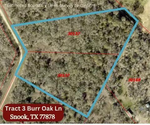 Tract 3 Burr Oak Lane, Snook, TX 77878