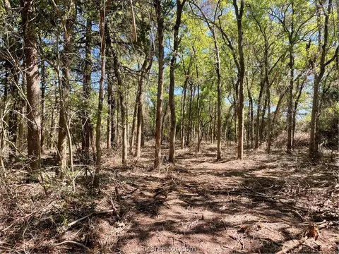 Tbd Country Place Other, Hilltop Lakes, TX 77871