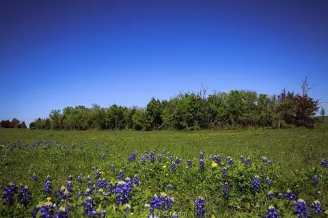 Tract 5a Caney Creek Road, Chappell Hill, TX 77426