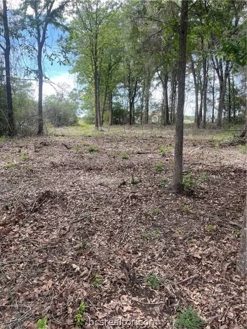 Tbd W Yaupon Lane, Hilltop Lakes, TX 77871