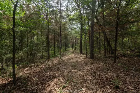 Tbd Wilson Pasture Rd, Bryan, TX 77808