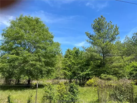 Tract 6 English Rd Road, Bedias, TX 77831