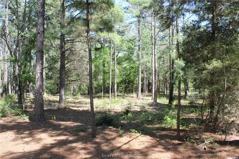 12380 Post Oak Ln, Bryan, TX 77807 photo 1